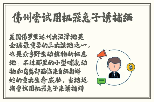 九六影院